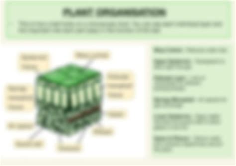 GCSE Biology Topic 2 Revision Notes Organisation - Etsy 