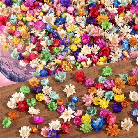 Amazon 37 Pcs Dried Pressed Flowers For Resin DIY Art Crafts