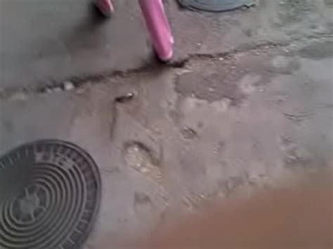 Moldavian ASS Part 2 XVIDEOS