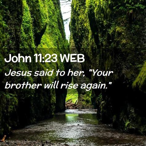 John 11 23 WEB Jesus Said To Her Your Brother Will Rise