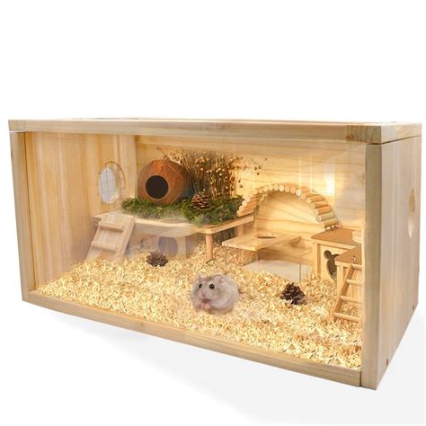Reproductive Abilities: Hamsters Can Breed All Year Round : r