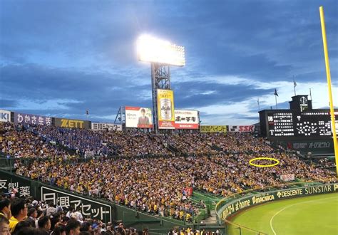 Yahooオークション 710水）阪神タイガースvsヤクルト阪神甲子園