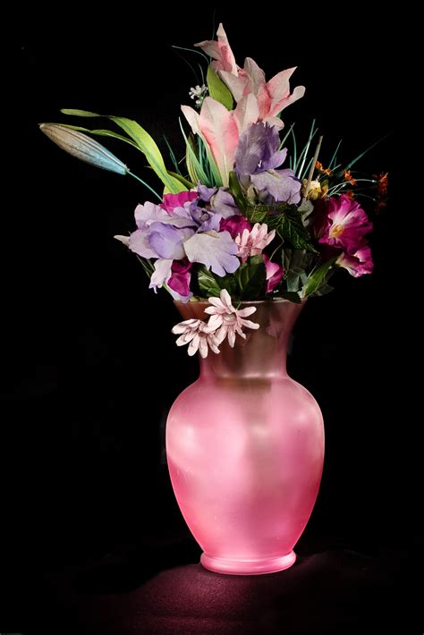 Free Images Purple Petal Vase Pink Flora Still Life Art