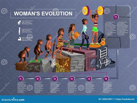 L Nea De Tiempo De La Evoluci N De La Mujer Historieta Del Vector