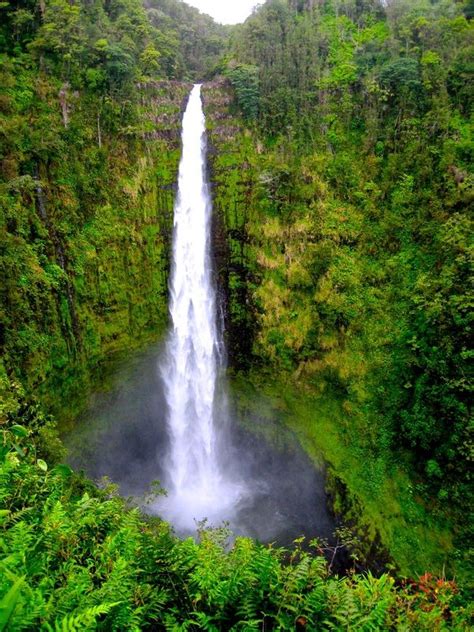 The 442 Foot Free Falling ‘akaka Falls Hawaii Island’s Most Famous Waterfall Can Be Located