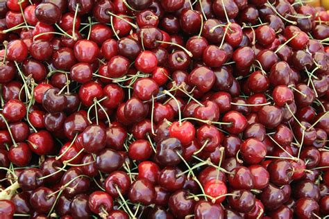 Cherries Fruit Healthy Free Photo On Pixabay Pixabay