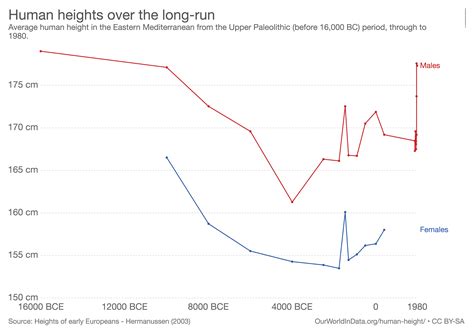 Scientists Discover What Is The Average Height Of Humans Across Different Eras - RYZE Superfoods