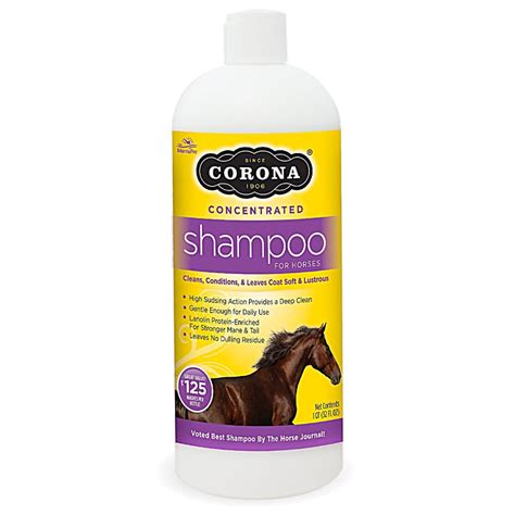Corona Shampoo Quart | PawsPlanet Australia