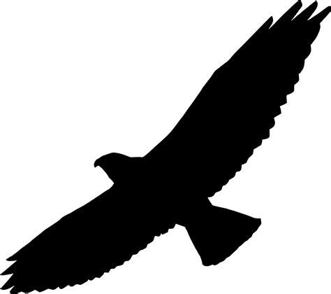 Hawk Clipart Sparrow Hawk Hawk Sparrow Hawk Transparent Free For