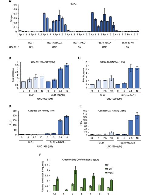 Myc Activation And Bcl2l11 Silencing By A Tumour Virus Through The