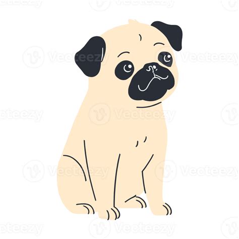 Cute Pug Icon 48678213 Png