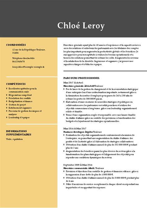 Exemple et modèle de CV de directeur général