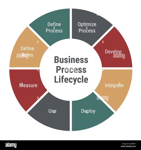 Business Process Lifecycle Diagram Circle Infographic With 8 Parts And