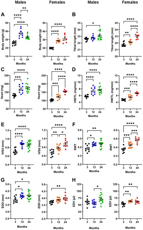 Biological Sex Sex Steroids And Sex Chromosomes Contribute To Mouse Cardiac Aging Aging