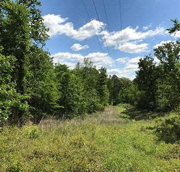 view  texas acres properties owner financed land  east texas