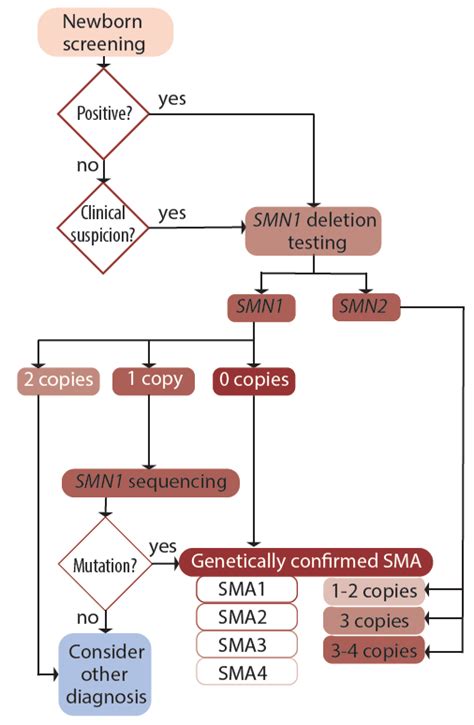 Spinal Muscular Atrophy Practical Neurology