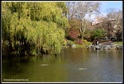 Morningside Park New York City Morningside Park New Yor Flickr