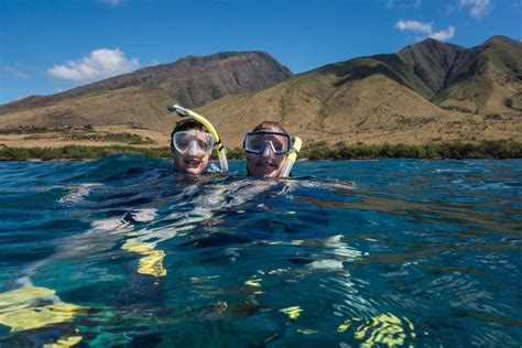 Maui Snorkel Tours Kihei Roadtrippers