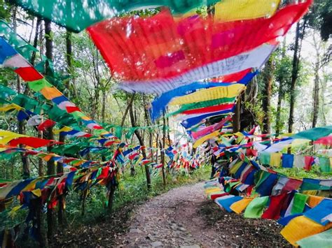 Prayers And Practices Following Sogyal Rinpoches Parinirvana — Rigpa