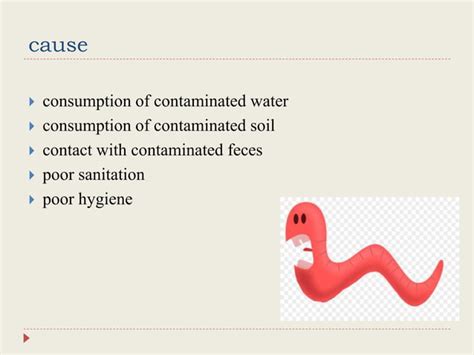 Worm Infestation Ppt