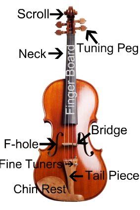 Violin Parts — The Violin