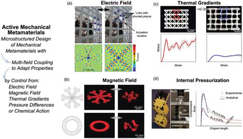 Active Mechanical Metamaterials Exploit Multifield Coupling By