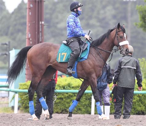 【pog】ダノンザタイガー12日初陣 2億7000万円落札の期待馬で国枝師悲願へ競馬・レースデイリースポーツ Online