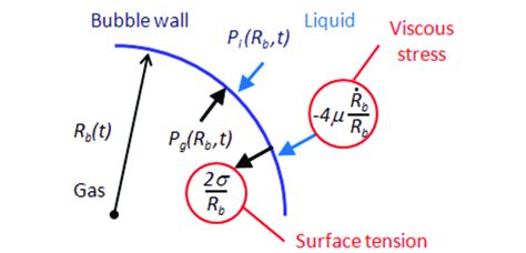 Schematic View Of Bubble Particle Interaction And Forces Acting On The