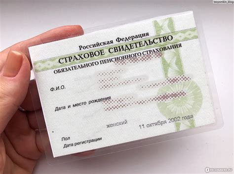 Что такое СНИЛС и как он выглядит: расшифровка документа