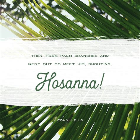 John 1213 They Took Palm Branches And Went Out To Meet Him Shouting