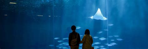 Discover Wonders at Aquarium de Paris