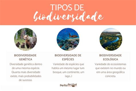 Biodiversidade Significado Tipos Características E Importância