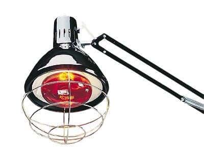 Infrared Heating Lamp - Cole-Parmer Canada