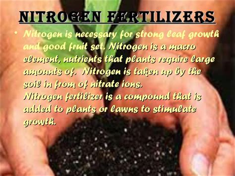 Nitrogen fertilizers