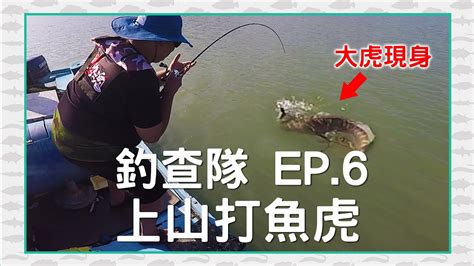 【czb釣查隊ep6】第一次釣 魚虎，沒想到被震撼教育！水表炸裂，czb三人都開胡 Giant Snakehead小盾鱧toman