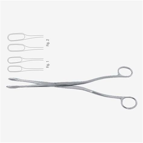 Winter Placenta And Ovum Forceps Xelpov Surgical