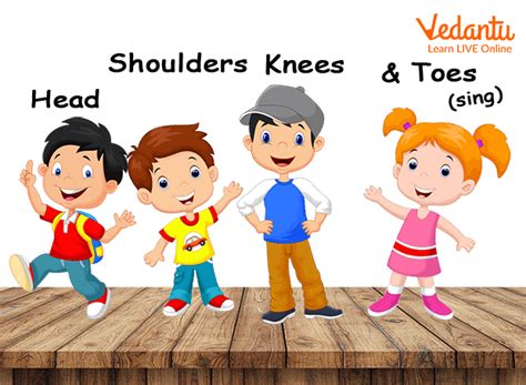 Heads Shoulders Knees And Toes Song Lyrics Printable Atelier Yuwa