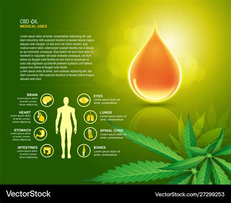 Cbd Oil Uses Royalty Free Vector Image Vectorstock