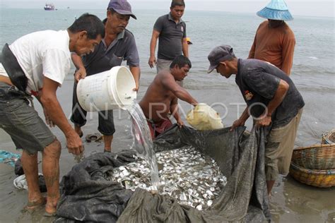 Tangkapan Ikan Menurun Antara Foto