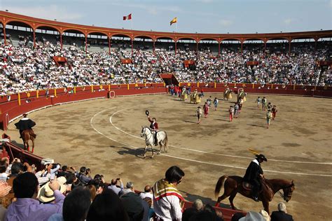 Perú Corridas De Toros Vuelven Tras Pausa Por La Pandemia Infobae