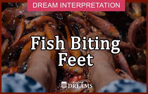 Dream About Fish Biting Feet Spiritual Meaning And Symbolism Dreams