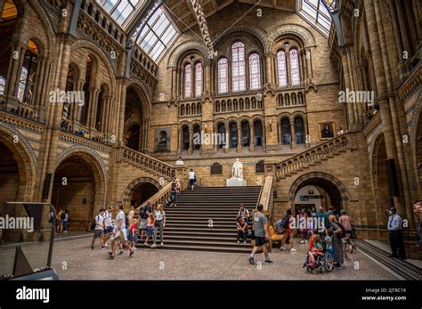 London, UK - August 24, 2022: Interior and exhibits of the Natural ...