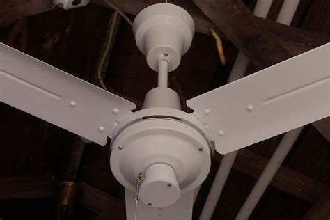 Dayton Commercial Ceiling Fan Shelly Lighting