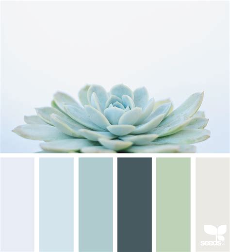 Succulent Hues Seeds Color Design Seeds Color Palette Nature Color