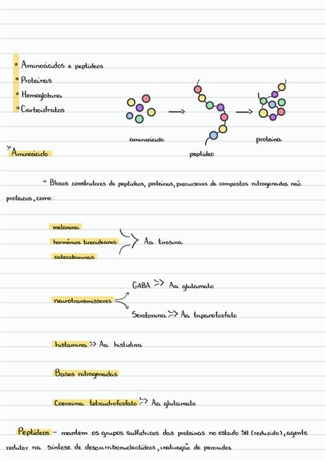 Solution Bioqu Mica Amio Cidos Prote Nas Hemoglobina E Carboidratos