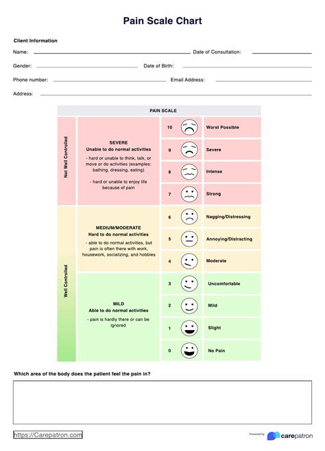 Pain Scale 1-10 & Example | Free PDF Download