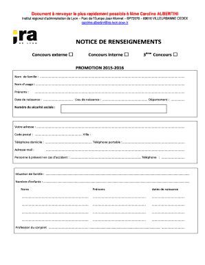 Remplissable En Ligne Ira Lyon Gouv Notice De Renseignements Institut