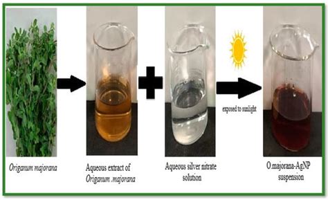 Processes Free Full Text Phytofabrication Of Silver Nanoparticles