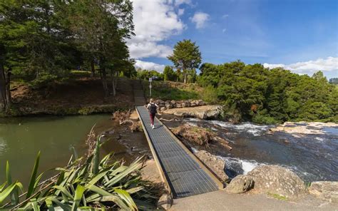 Stunning WHANGAREI FALLS In New Zealand - A Complete Guide