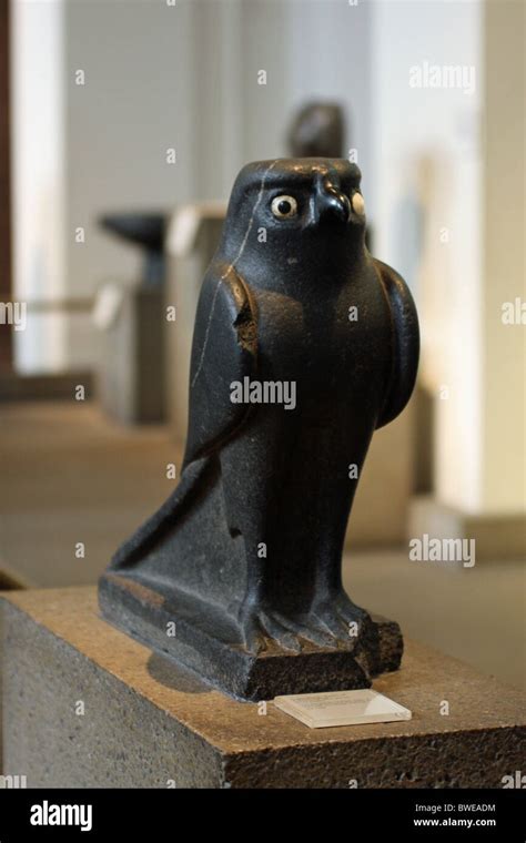 Horus Als Falke Fotos Und Bildmaterial In Hoher Aufl Sung Alamy